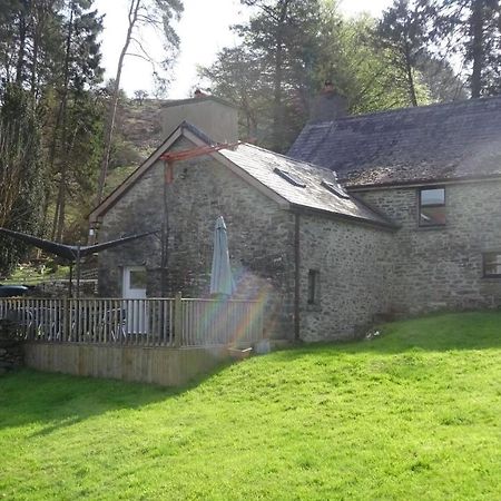 Blaentwrch Farmhouse Llanddewi-Brefi 外观 照片