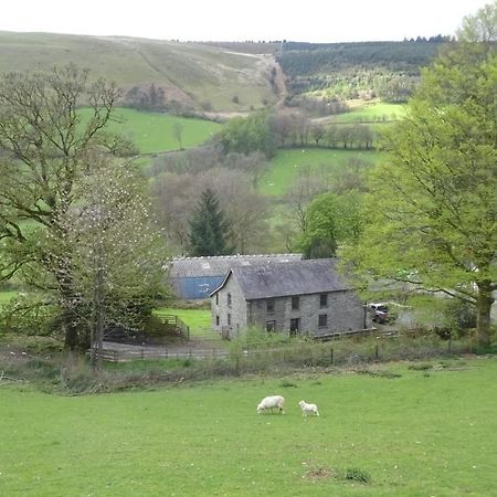 Blaentwrch Farmhouse Llanddewi-Brefi 外观 照片