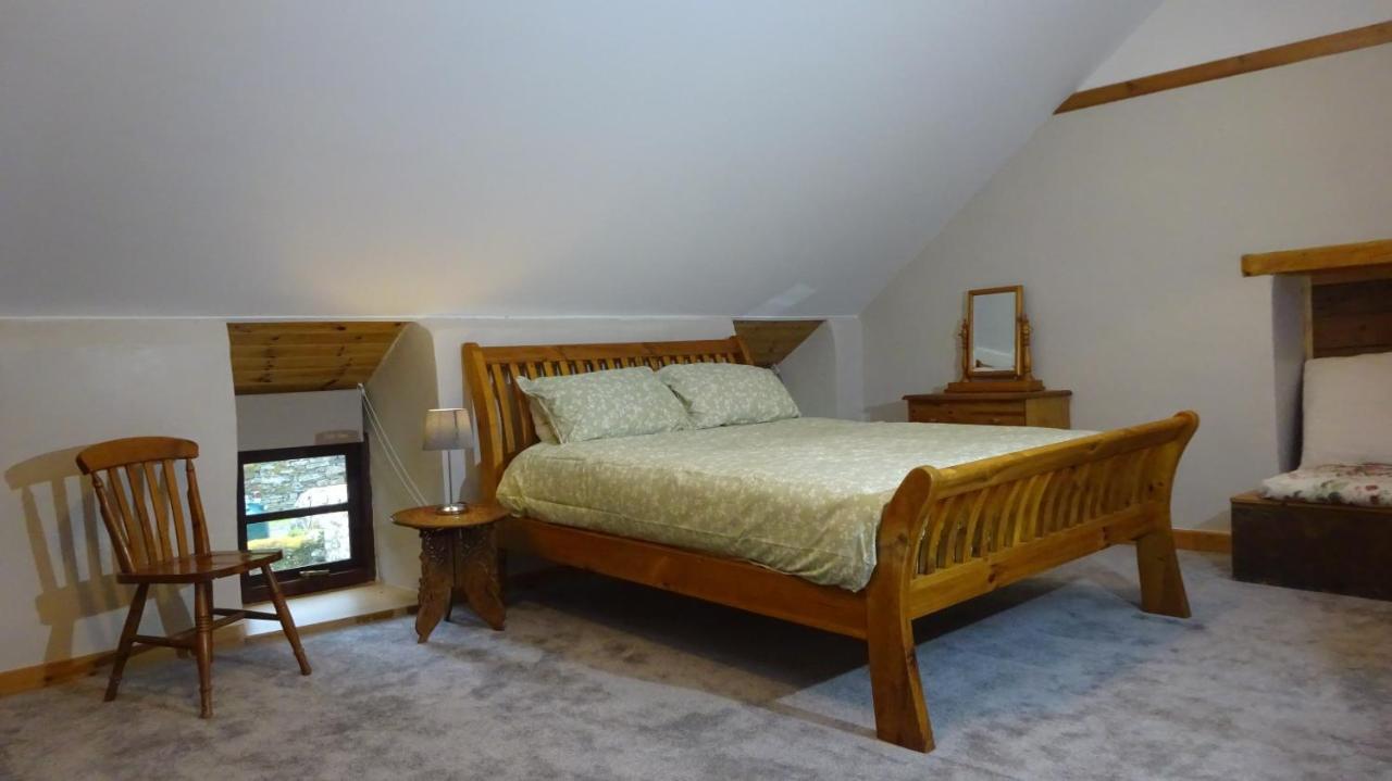 Blaentwrch Farmhouse Llanddewi-Brefi 外观 照片